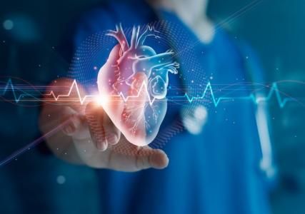 Cardiologist in Vijayawada