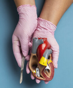 Cardiothoracic Surgery in Vijayawada