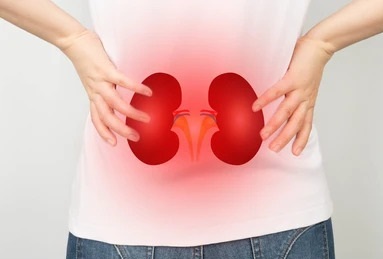 Nephrologist in Vijayawada