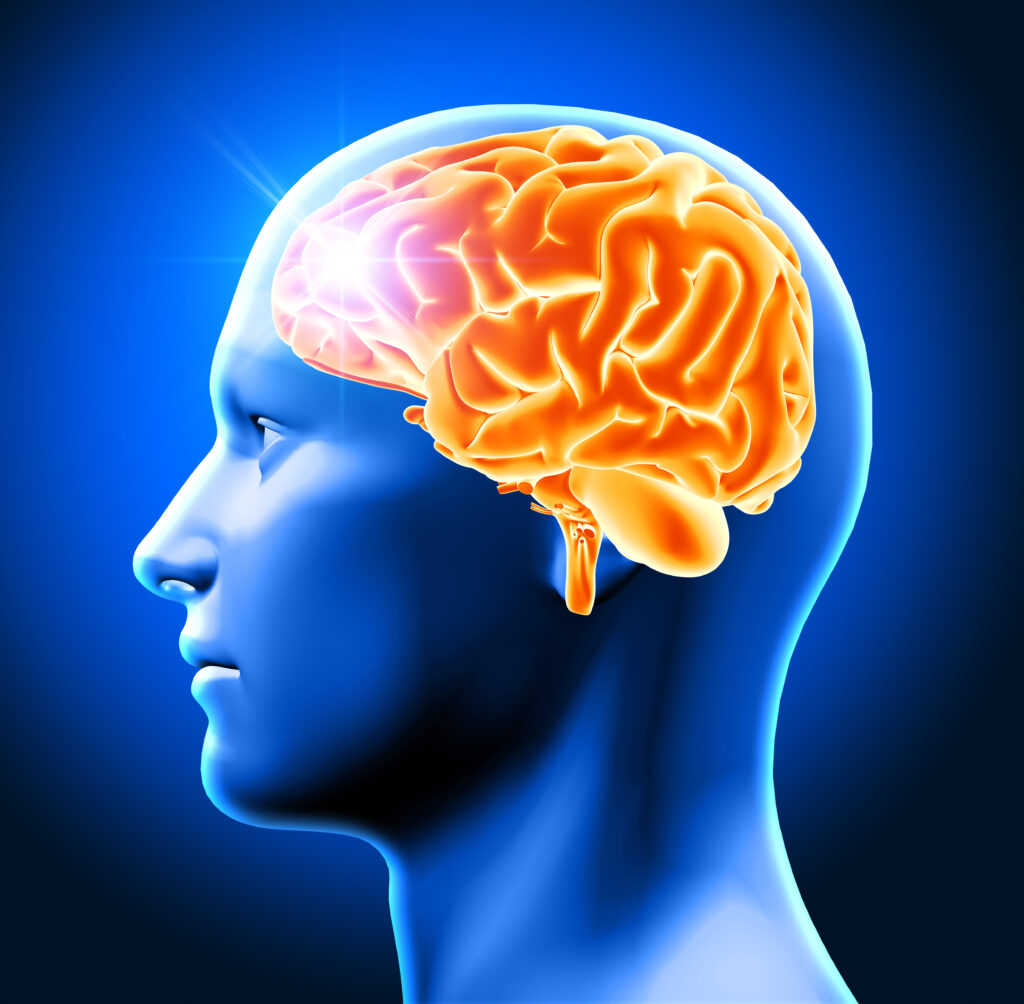 Neuro Surgery in Vijayawada