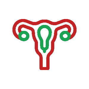 Gynecologist in Vijayawada